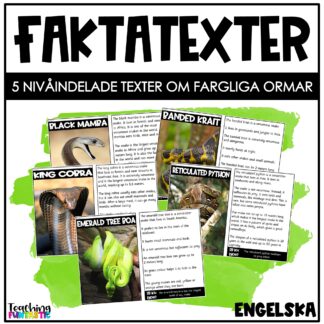Nivådelade lästexter