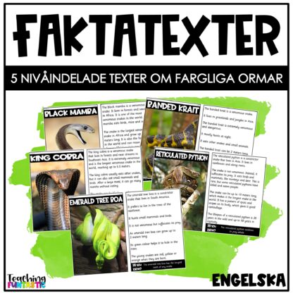 Nivådelade lästexter