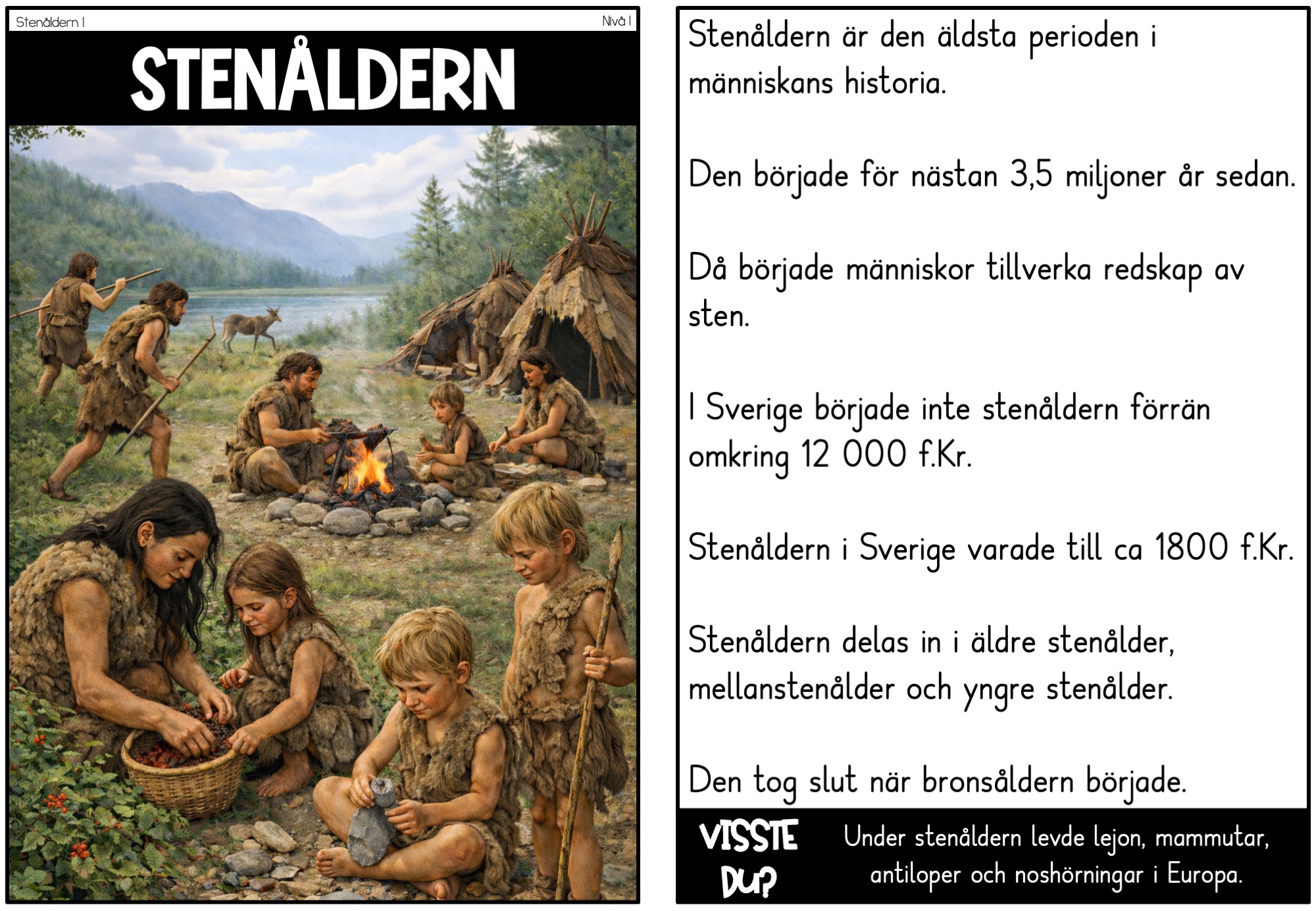 Nivådelade lästexter Faktatexter om Stenåldern